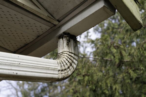 Cost of Roof Drain Replacement in Kissimmee